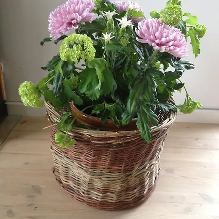 Jyllands Sevaerdigheder
